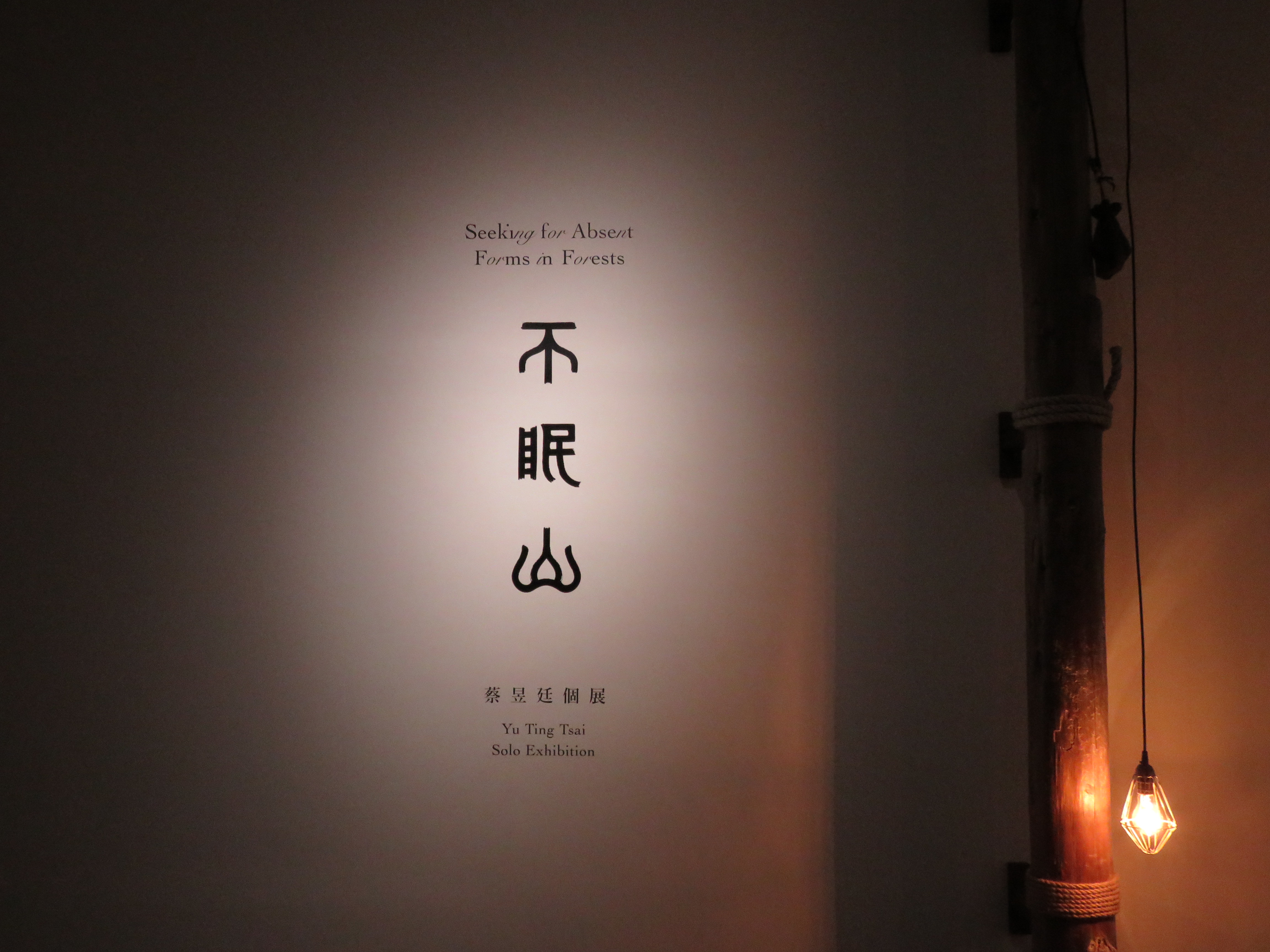 國立臺北藝術大學新媒體藝術學系碩士班學生蔡昱廷個展《不眠山》，於8日至明年2月16日在關渡美術館展出。　圖／林沂葳攝