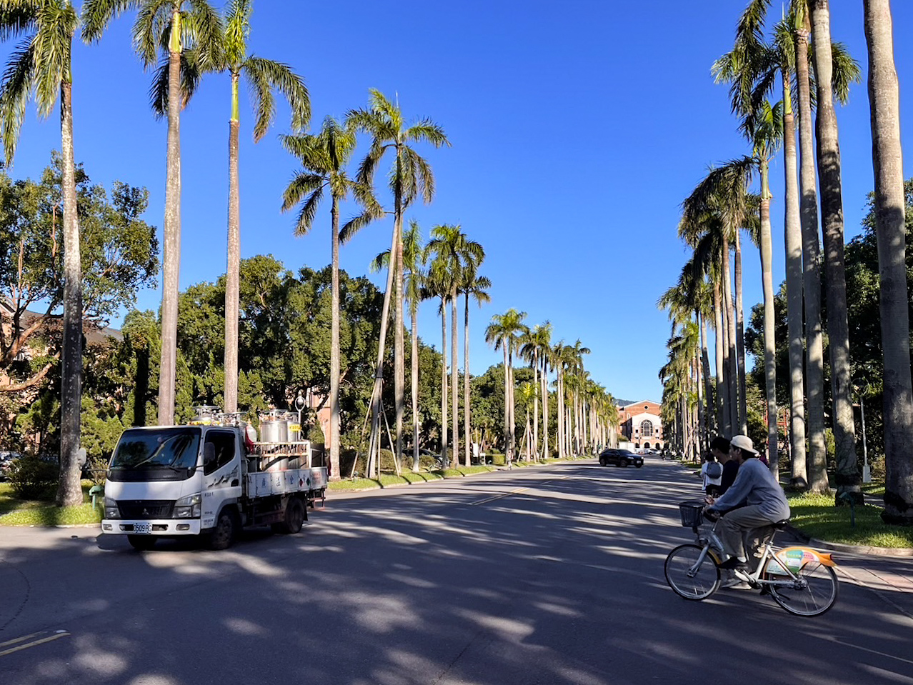 臺大推動校園無車化　望建立安全交通環境