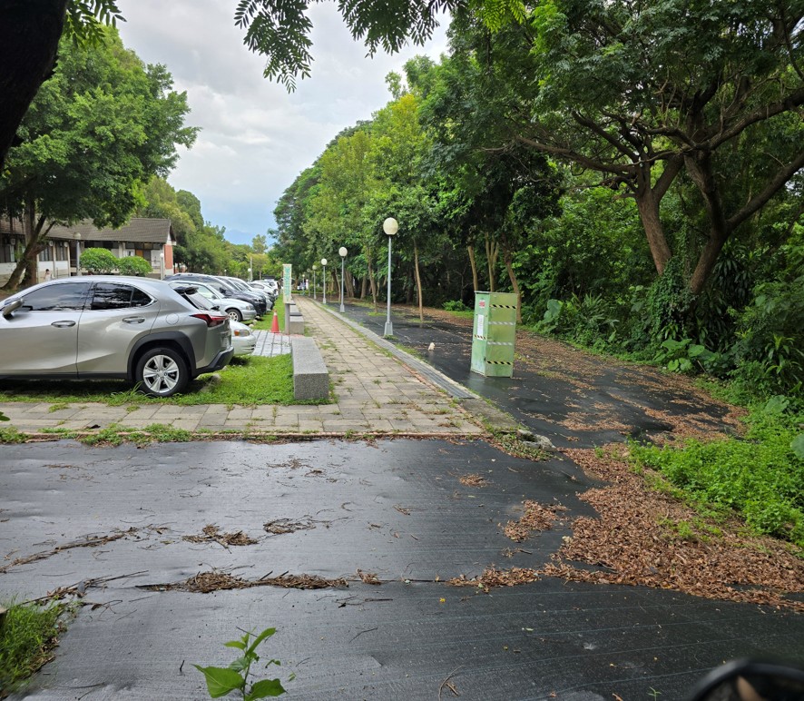 台灣護樹團體聯盟指出，抑草蓆未來可能脆化或因材質問題產生戴奧辛，不僅造成環境汙染，更嚴重違背環保精神。 圖／台灣護樹團體聯盟提供