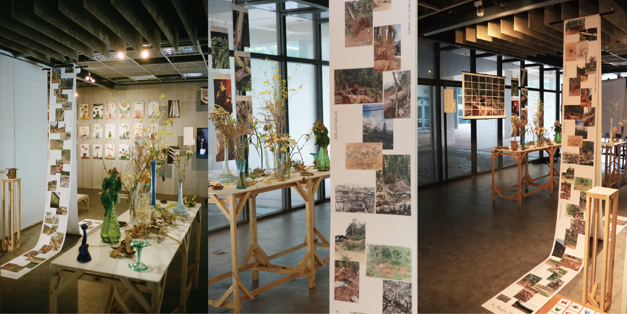《A Plant's Dignity》創作媒介包含電腦繪圖及3D動畫，在不同展區中以平面、互動裝置以及真實照片展現作品。　圖／朱冠丞提供