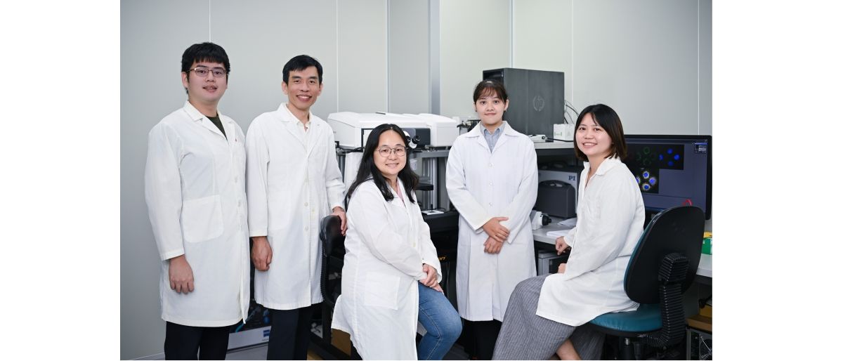 研究團隊首度揭開關鍵基因TTBK2在小腦發育與髓母細胞瘤生成中的核心角色。　圖／研究團隊提供