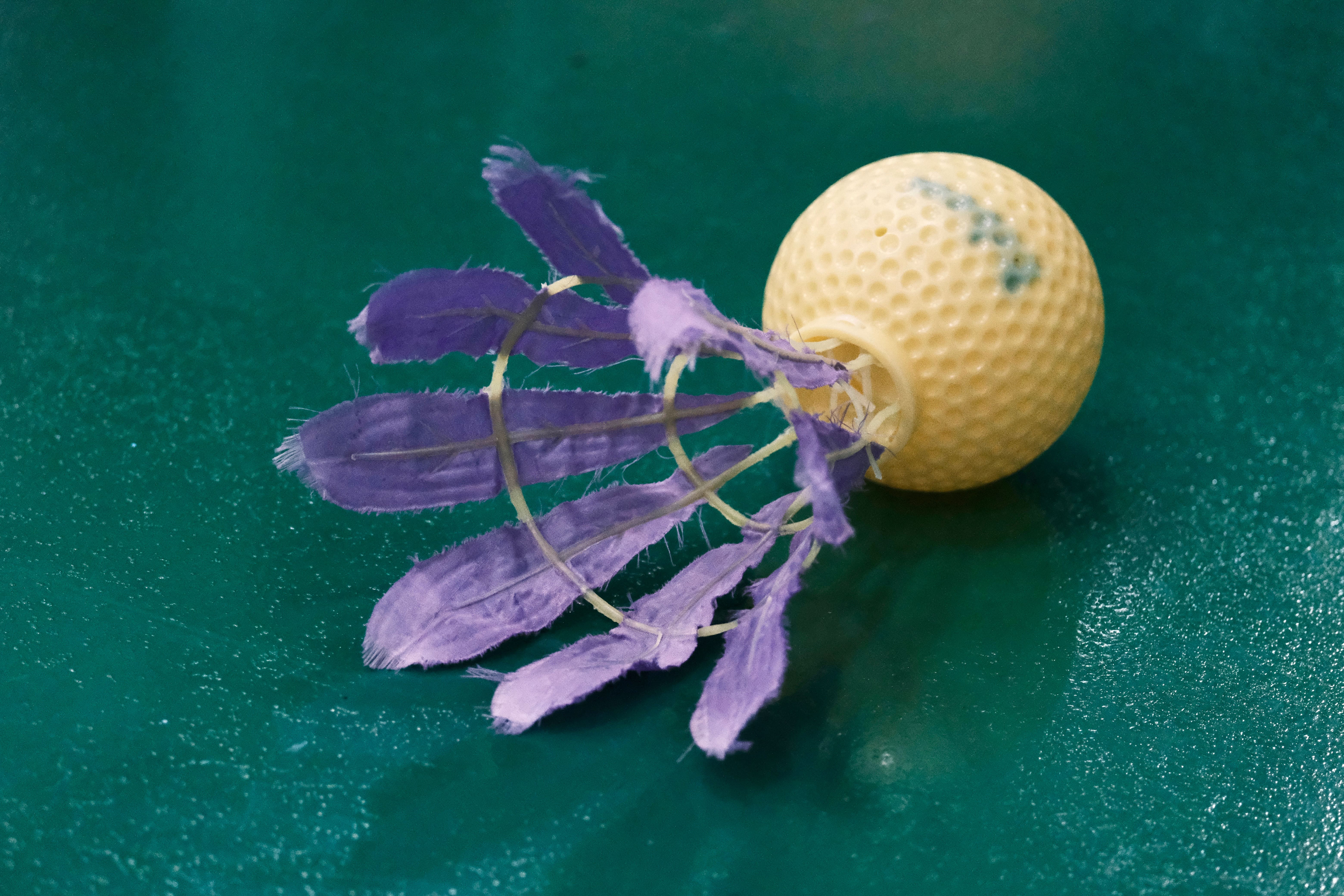 「台灣毽球」由毽羽毛與塑膠球體組成，為萬華國中教師李明秀於1981年創製的獨有競技球種。　圖／呂詠倢攝