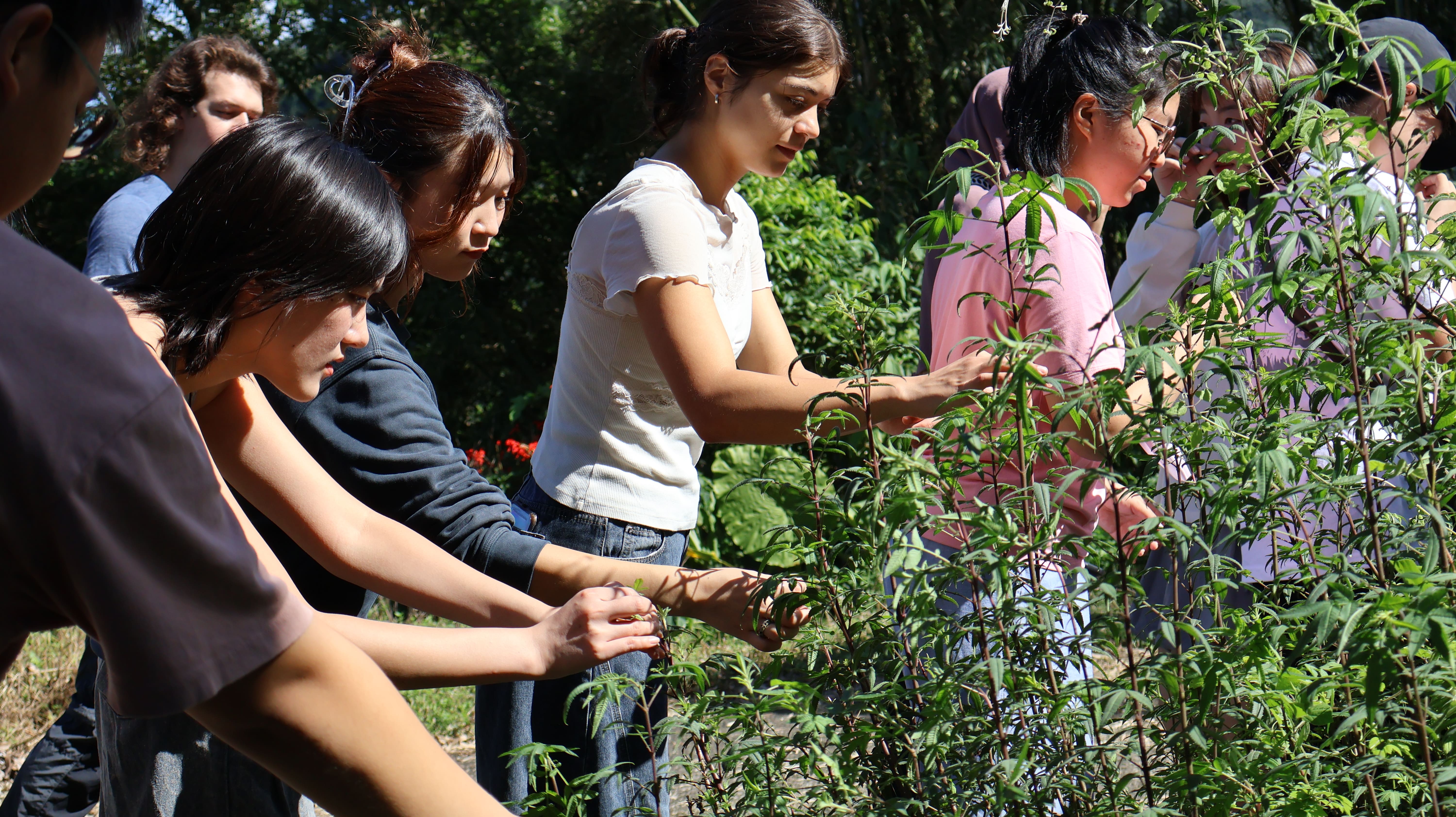 臺德學伴共遊貓空　實境解謎探索傳統信仰