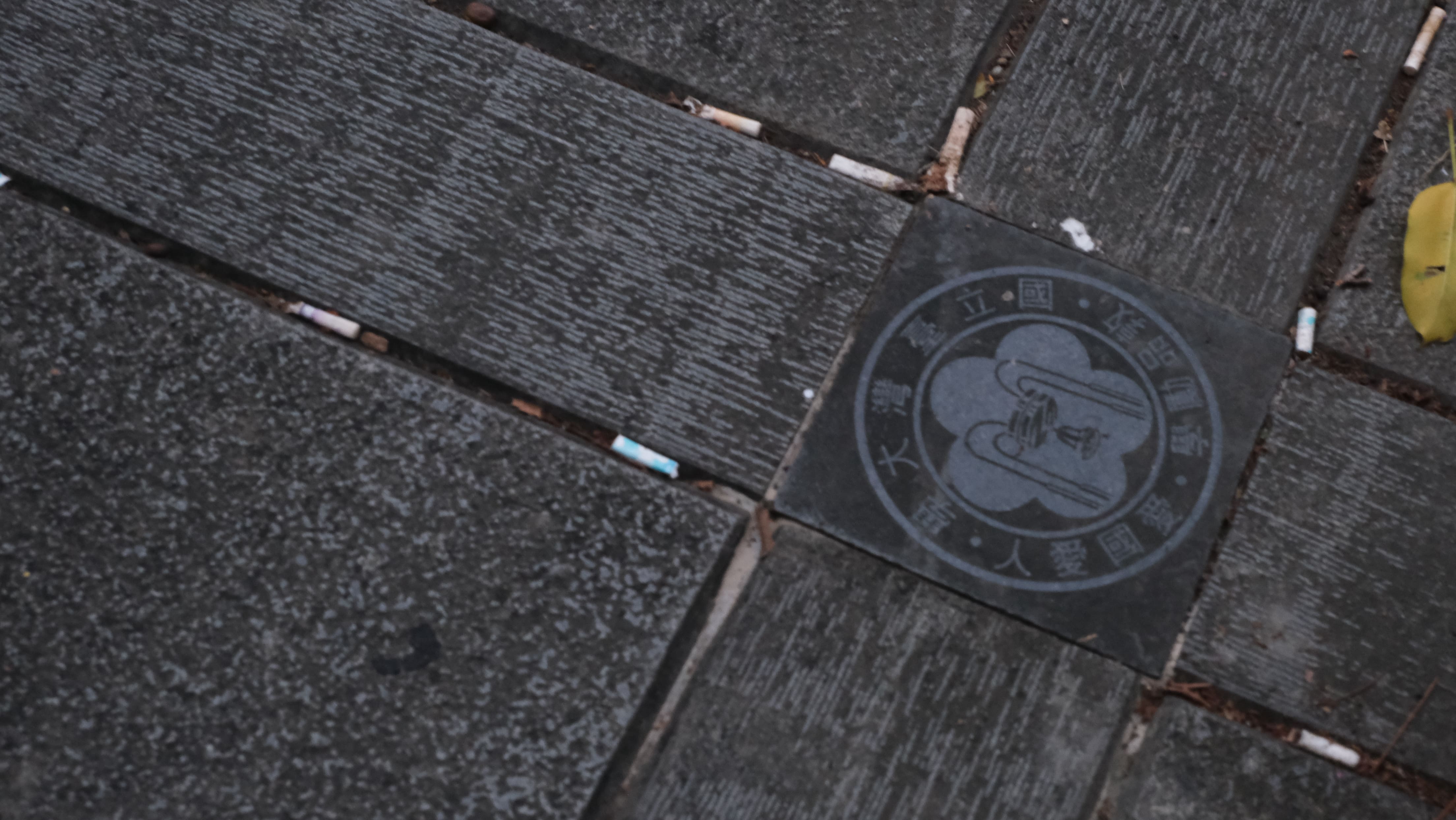 菸害防制入校規　臺大以獎懲落實校園禁菸 　