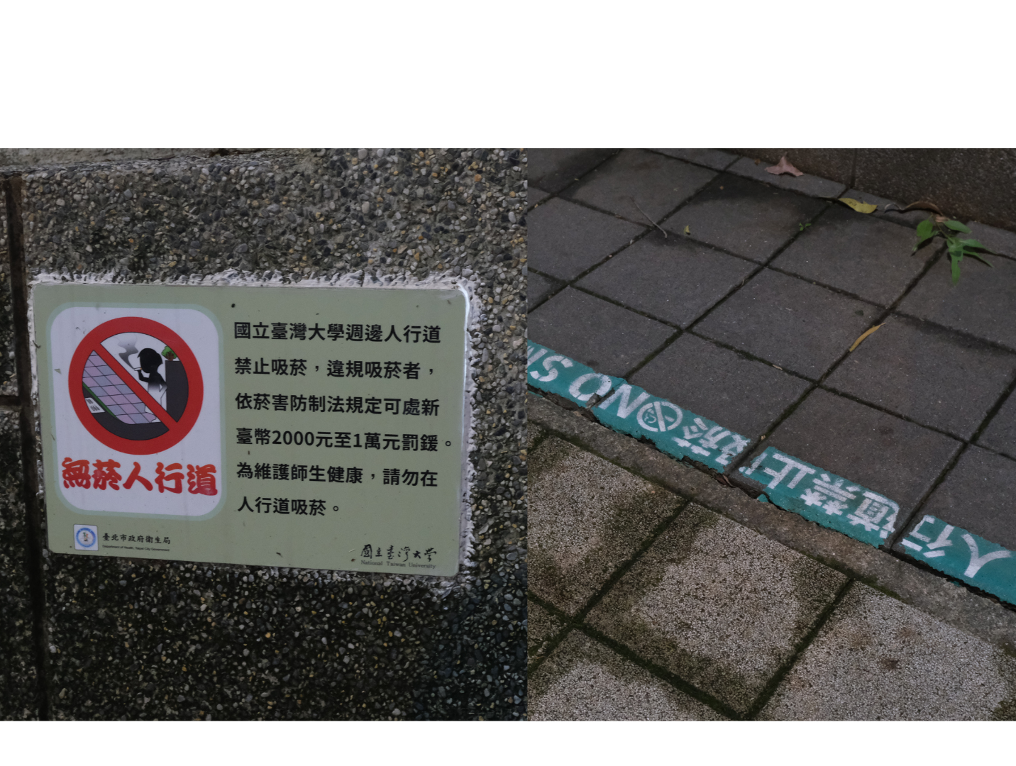 儘管臺大周圍人行道的地上設有禁菸區的界線，但因權責劃分問題，成為灰色地帶。　圖／熊子萱攝