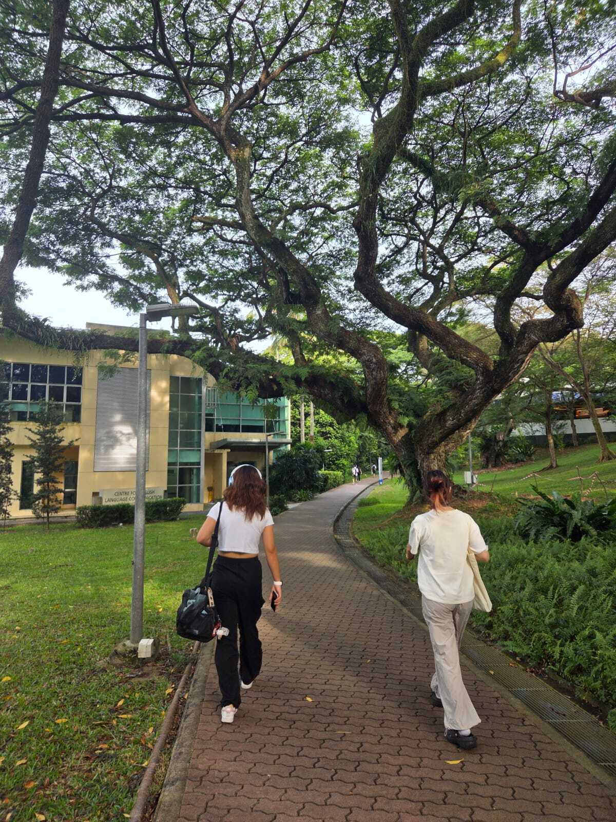 文憑偽造引發學生擔憂入學制度出現疏漏，影響學校名譽，甚至波及在校生形象。　圖／小虎提供