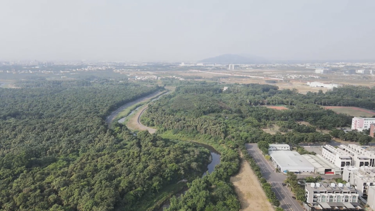 橋頭森林擬開闢　開發保育難兩全