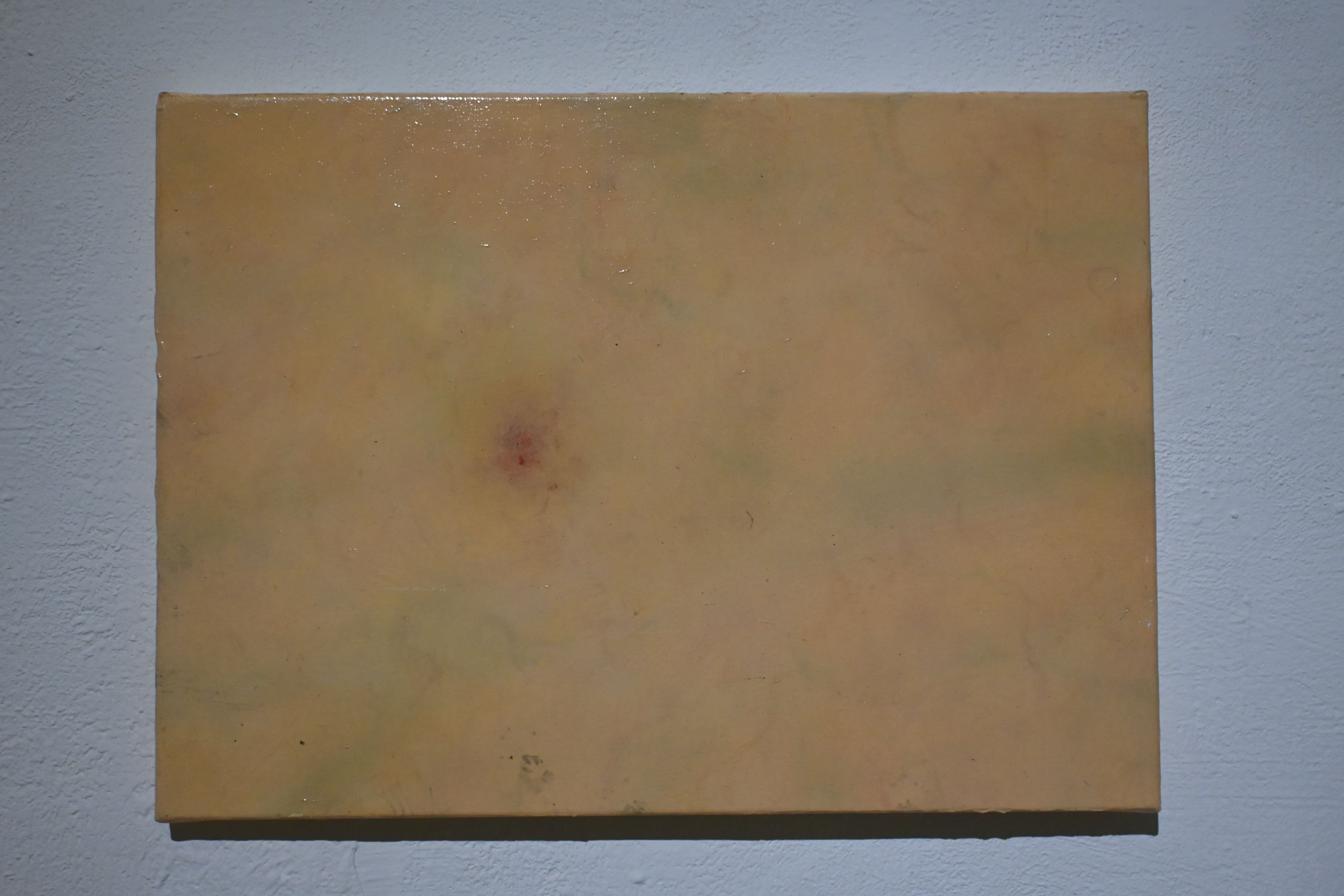 〈反射8〉模擬瘀青的狀態，近看時可以發現畫布上畫有血管，甚至貼有毛髮模擬皮膚。　圖／林庭如攝