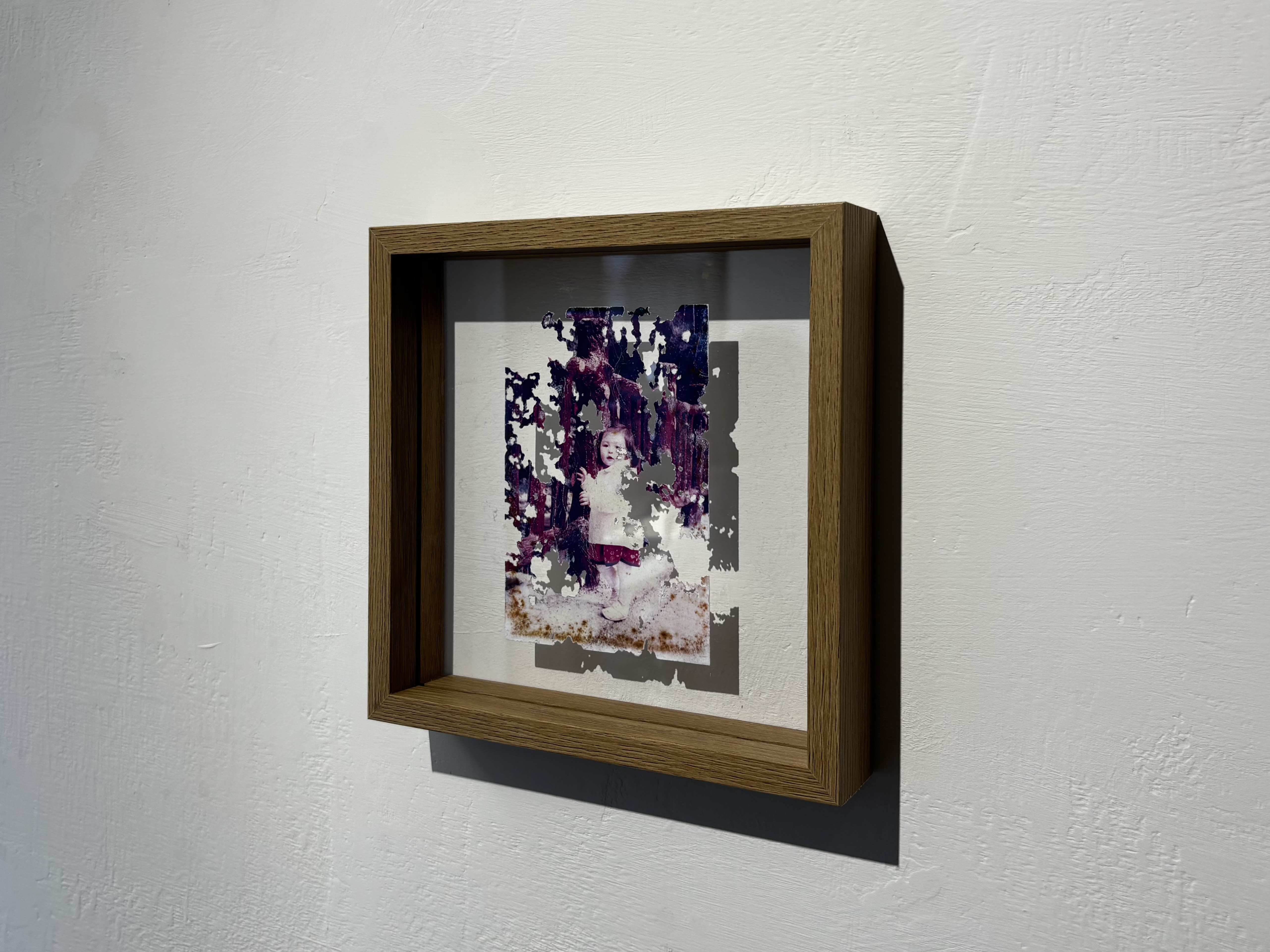 張家禎曾飼養衣魚，觀察其啃食紙張的方式，並轉化為作品〈告別〉的創作元素。　圖／黃律齊攝