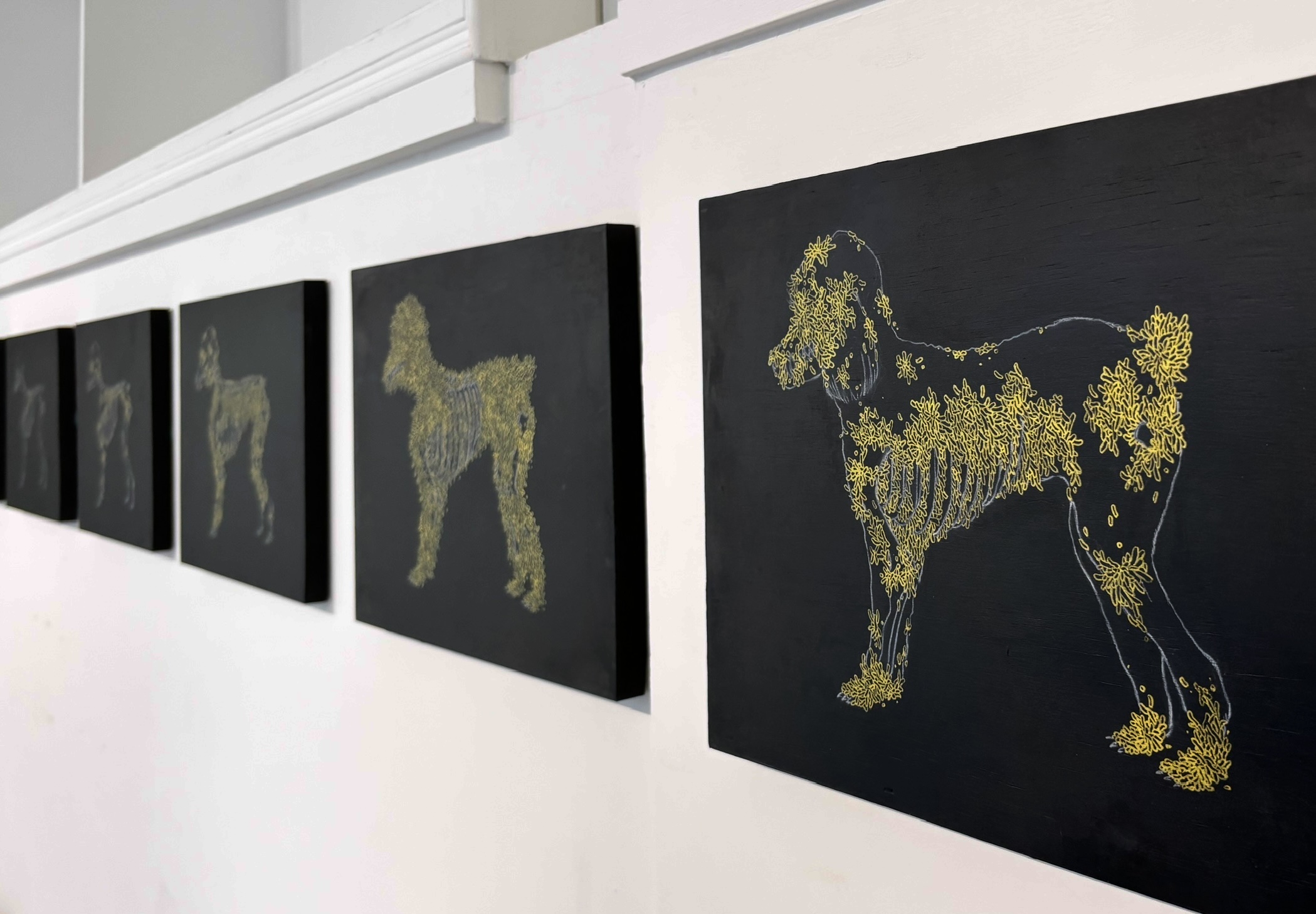 〈安魂〉以家中小狗的死亡為題，描繪蛆蟲逐漸爬滿軀幹，分解肉身，最終歸於自然的過程。　圖／黃律齊攝