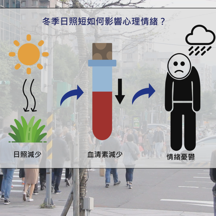 冬季光照短恐致憂鬱　專家籲規律作息