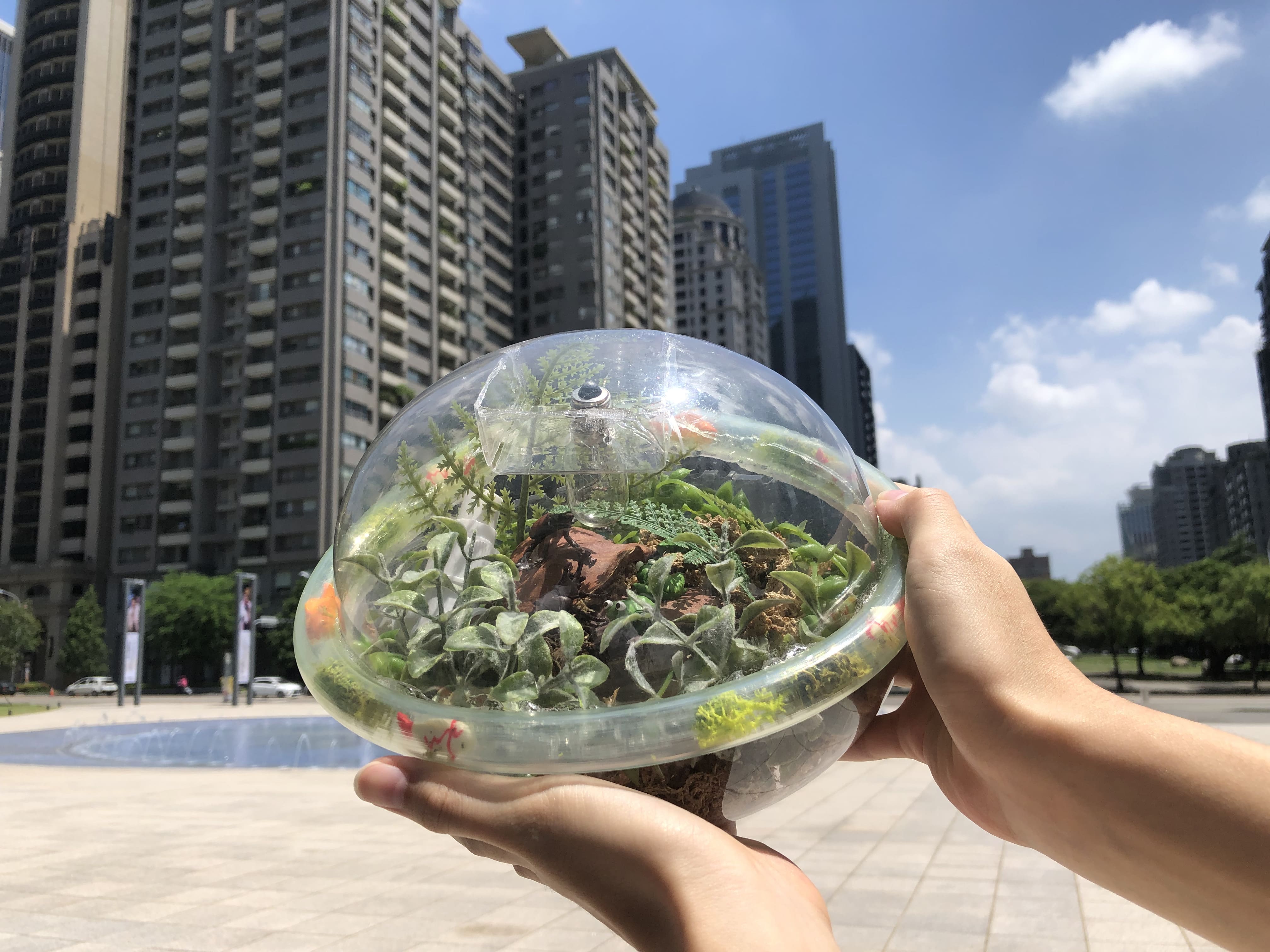 整個城市都是你的植物園　中科大創智能生態缸