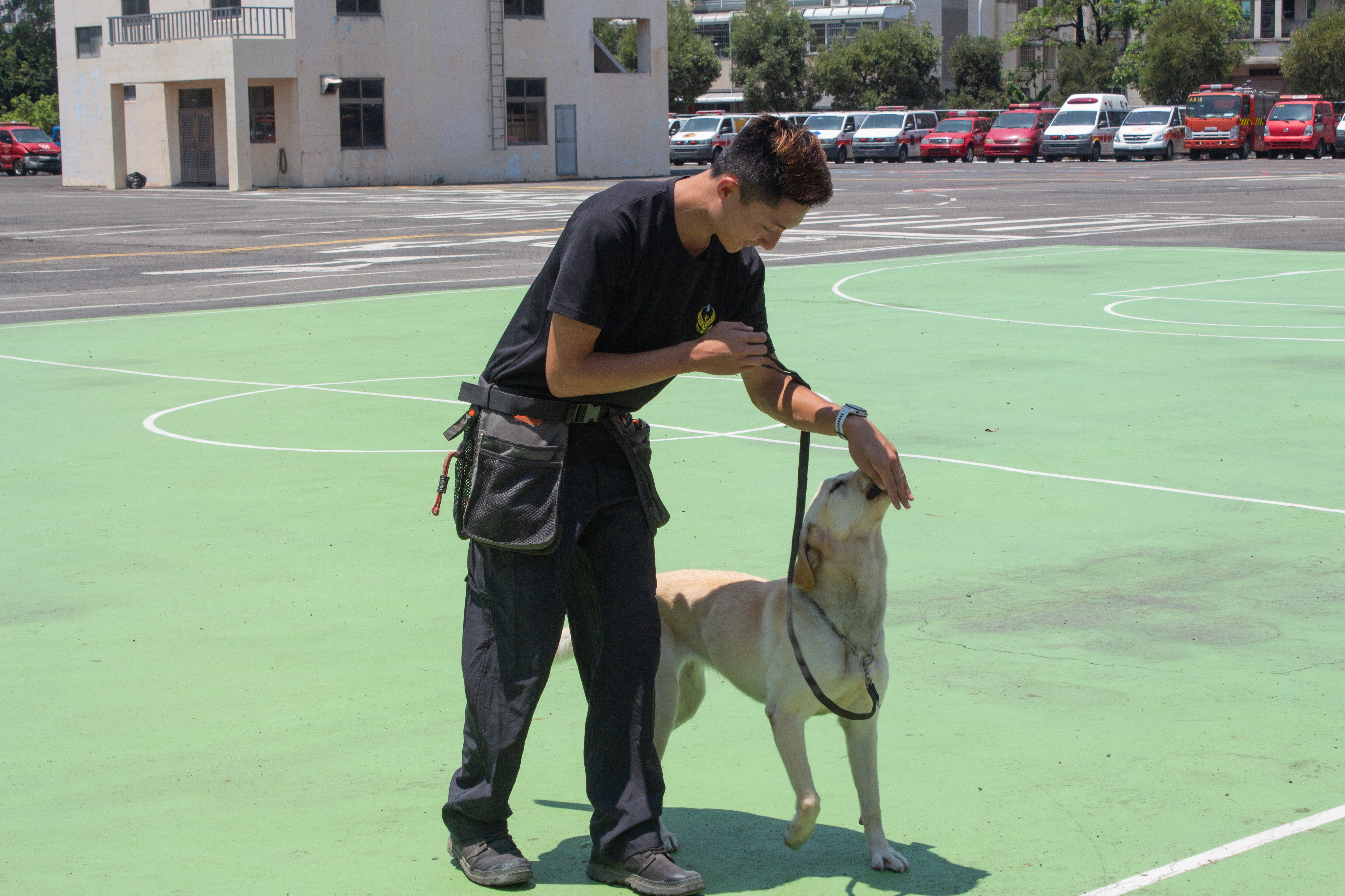 搜救現場的最佳拍檔　領犬員、搜救犬如何成災後功臣